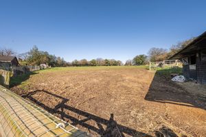 Photo 39- click for photo gallery